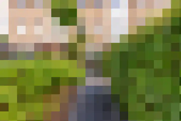 Centraalspoor 20 Houten thumbnail 4
