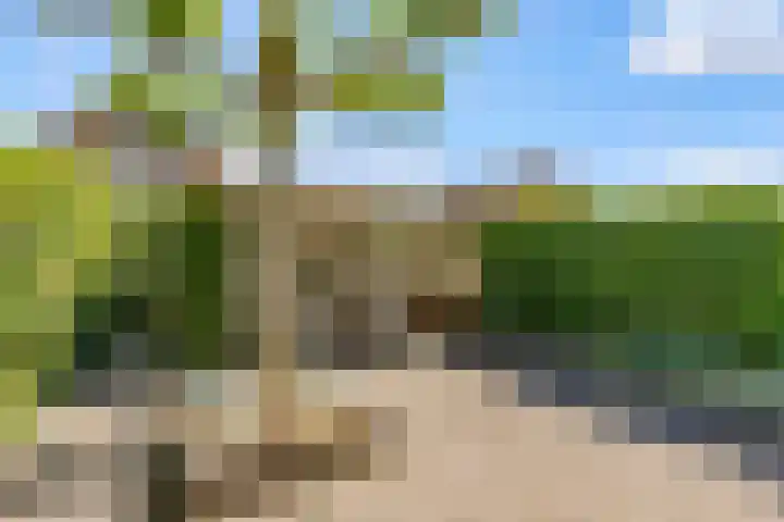 Centraalspoor 20 Houten thumbnail 45