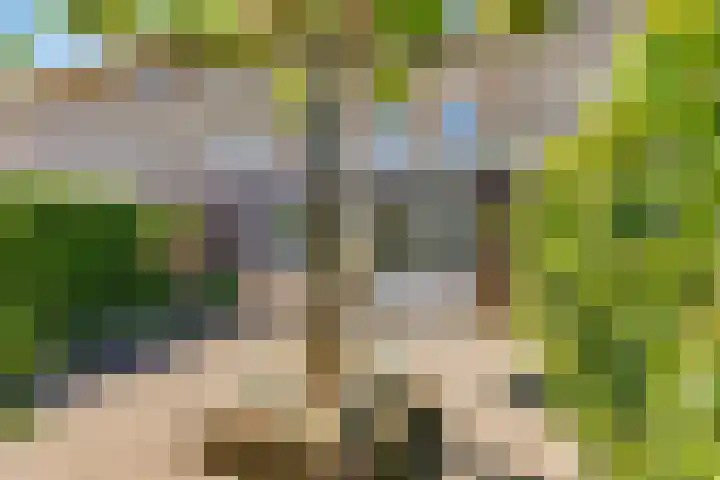 Centraalspoor 20 Houten thumbnail 46