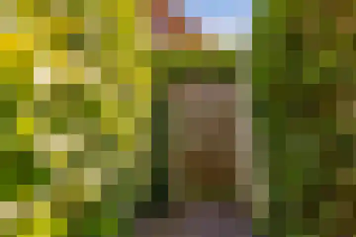 Centraalspoor 20 Houten thumbnail 47