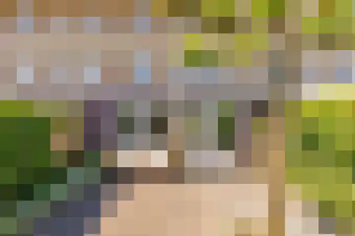 Centraalspoor 20 Houten thumbnail 48