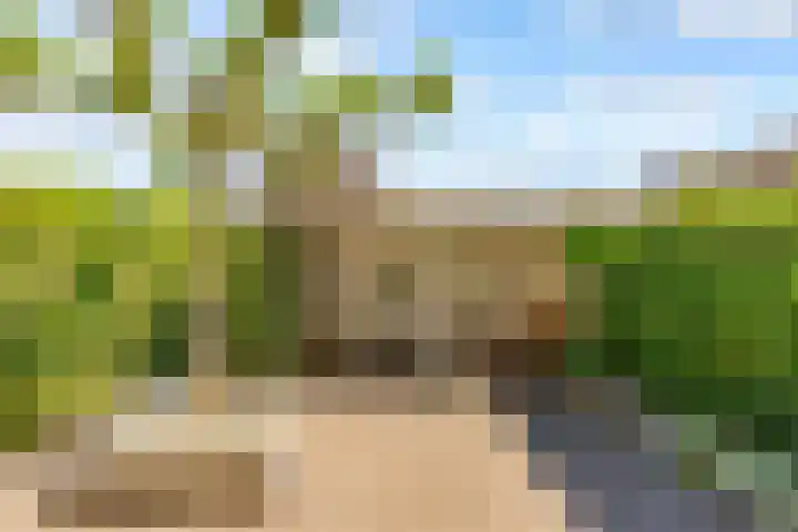 Centraalspoor 20 Houten thumbnail 49