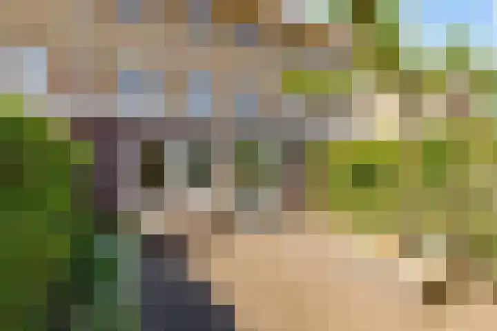 Centraalspoor 20 Houten thumbnail 50