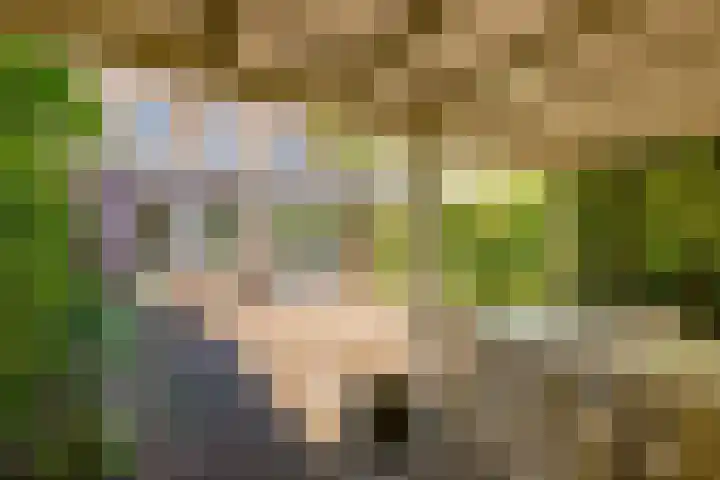 Centraalspoor 20 Houten thumbnail 51