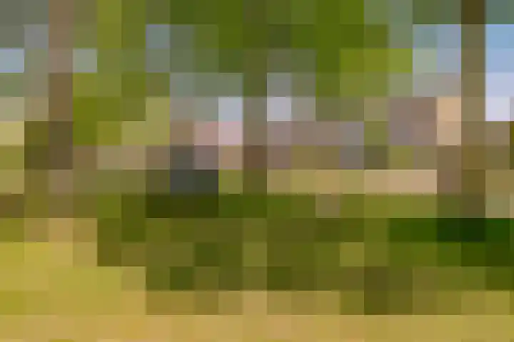 Centraalspoor 20 Houten thumbnail 56