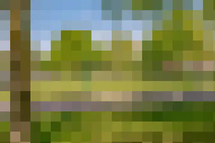 Centraalspoor 20 Houten thumbnail 57