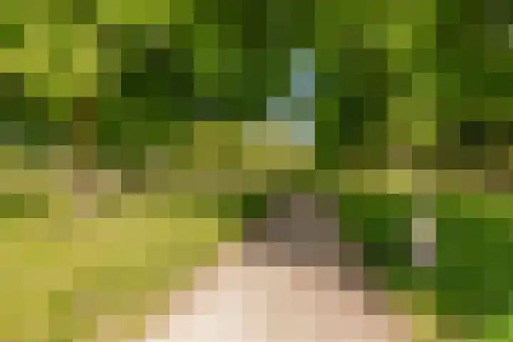 Centraalspoor 20 Houten thumbnail 61