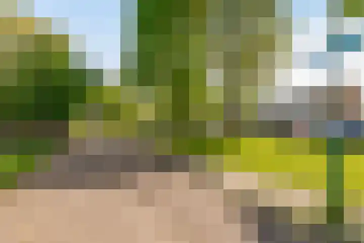 Centraalspoor 20 Houten thumbnail 62