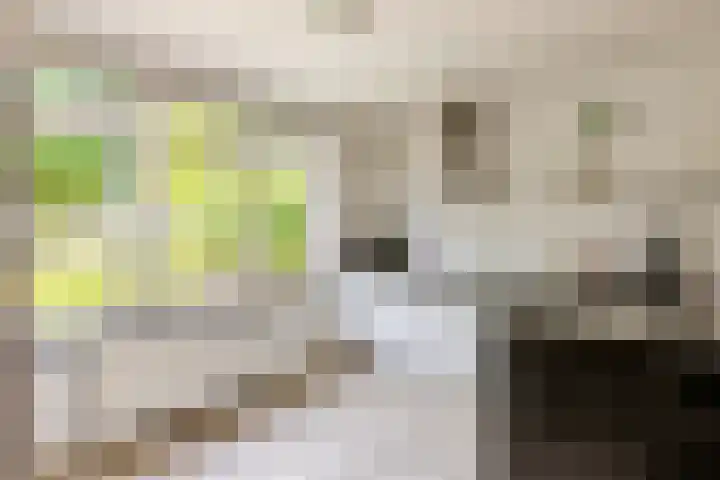 Centraalspoor 20 Houten thumbnail 9