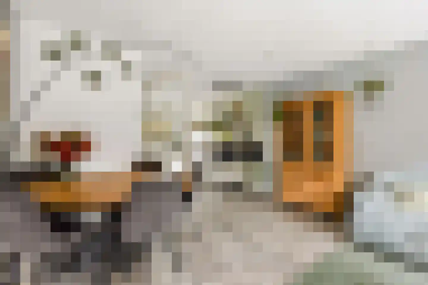 Centraalspoor 25 Houten thumbnail 14