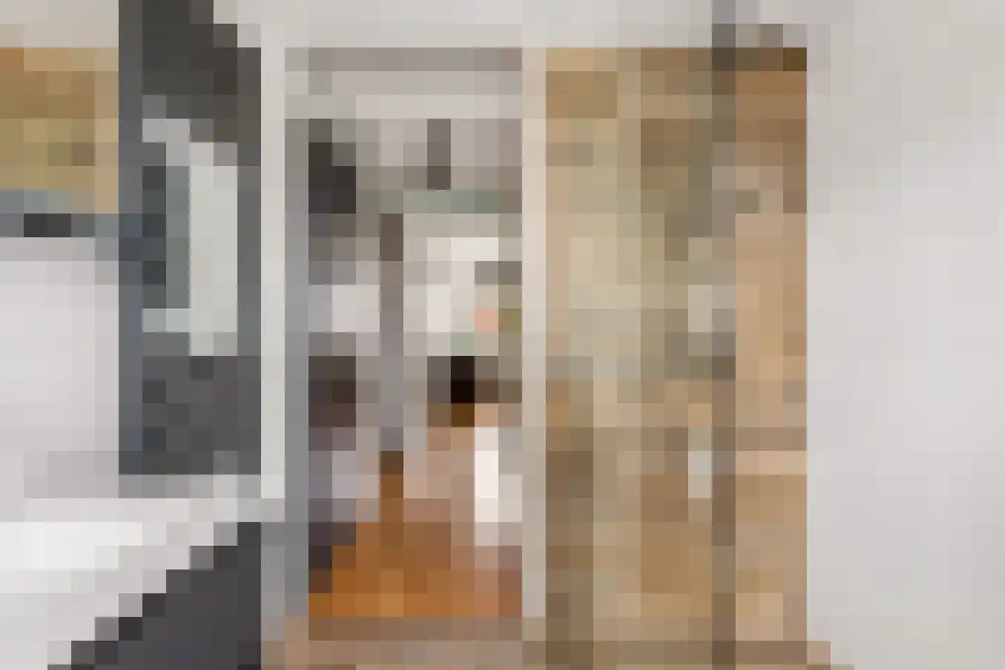 Centraalspoor 25 Houten thumbnail 24