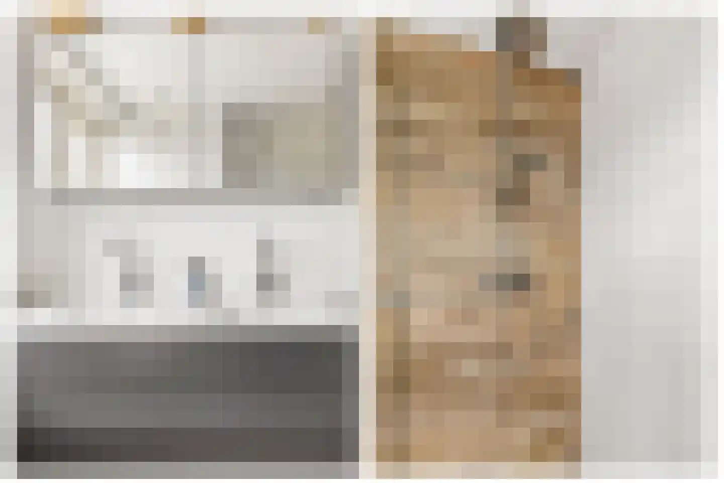 Centraalspoor 25 Houten thumbnail 26