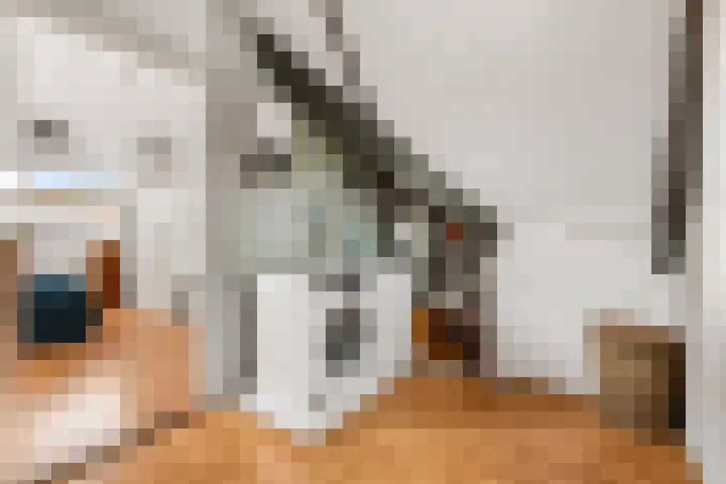 Centraalspoor 25 Houten thumbnail 29