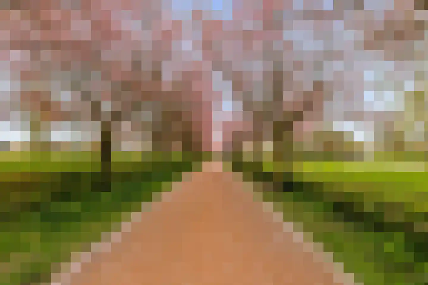 Centraalspoor 25 Houten thumbnail 47