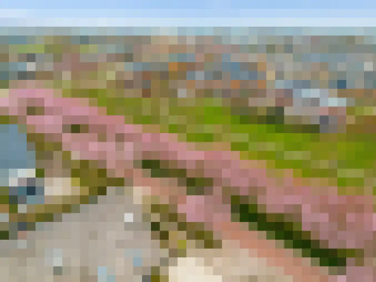 Centraalspoor 25 Houten thumbnail 50