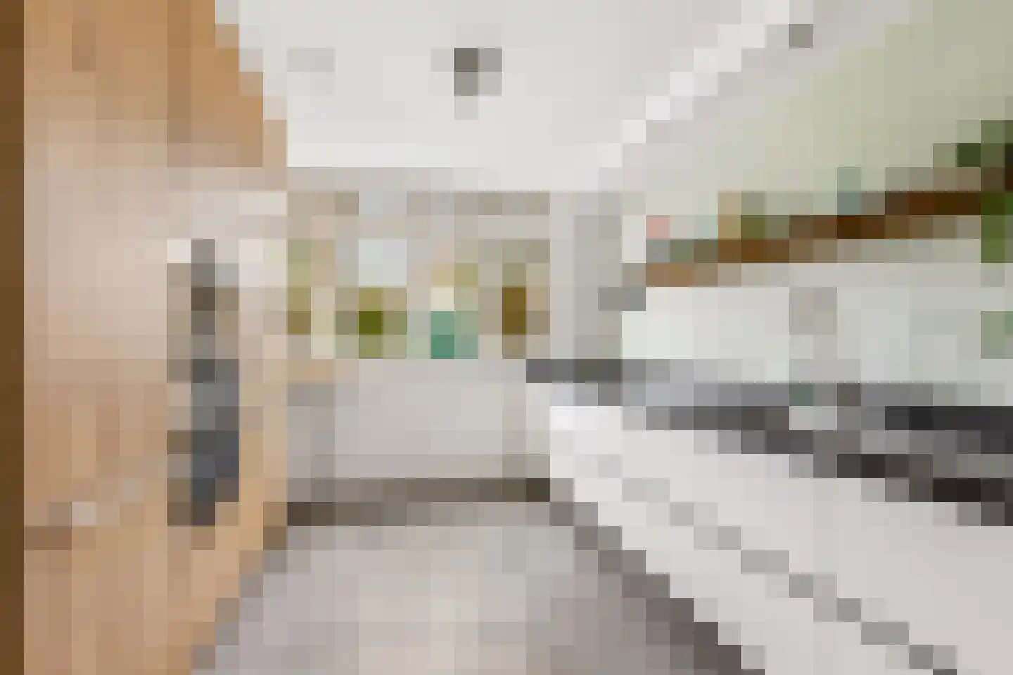 Centraalspoor 25 Houten thumbnail 6