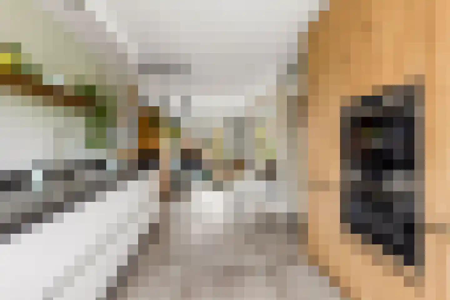 Centraalspoor 25 Houten thumbnail 7