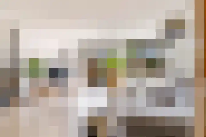 Centraalspoor 53 Houten thumbnail 12
