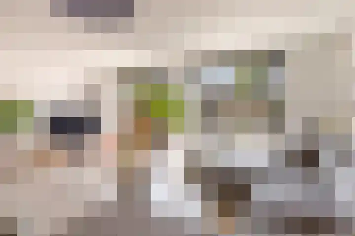 Centraalspoor 53 Houten thumbnail 24