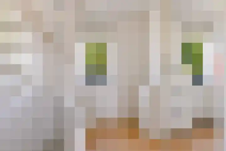Centraalspoor 53 Houten thumbnail 27