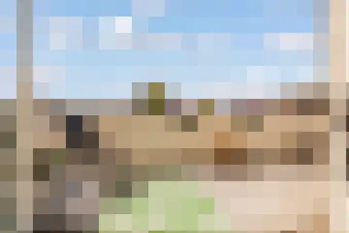Centraalspoor 53 Houten thumbnail 31