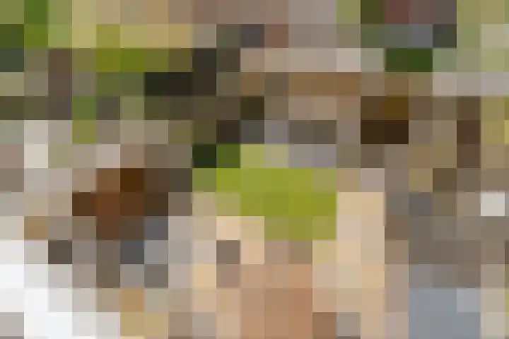 Centraalspoor 53 Houten thumbnail 32