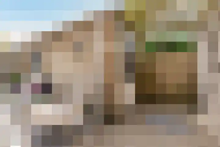 Centraalspoor 53 Houten thumbnail 50
