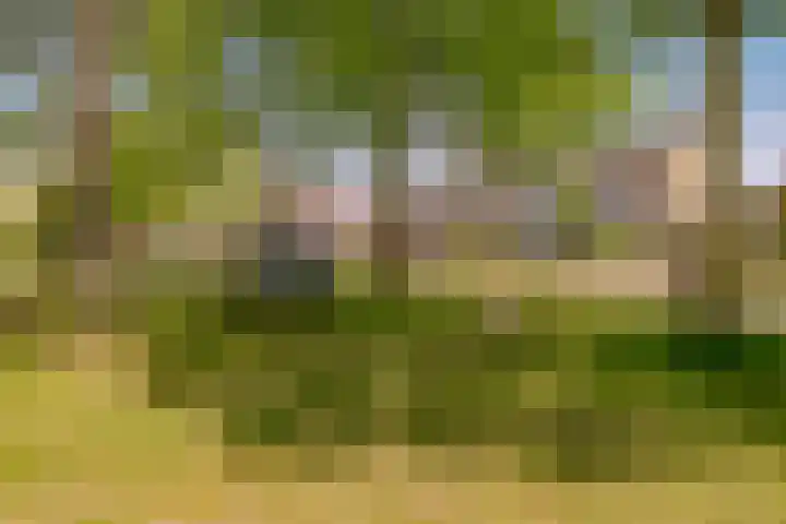 Centraalspoor 53 Houten thumbnail 61