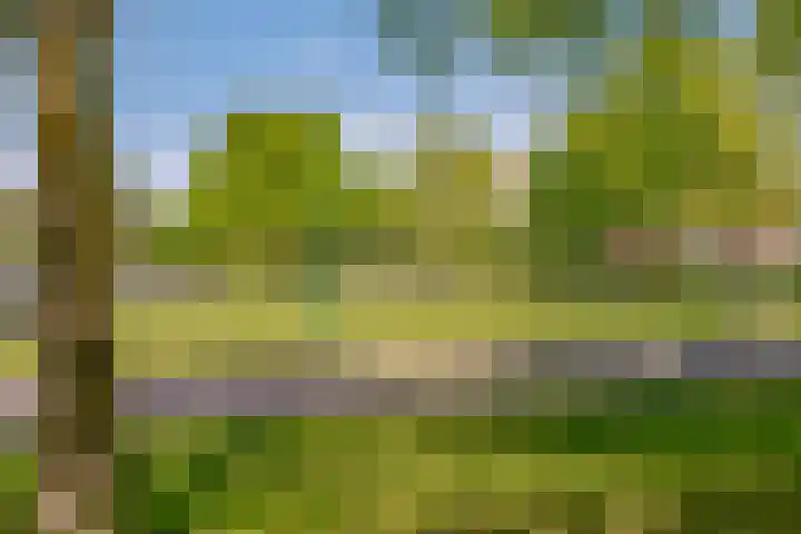 Centraalspoor 53 Houten thumbnail 62