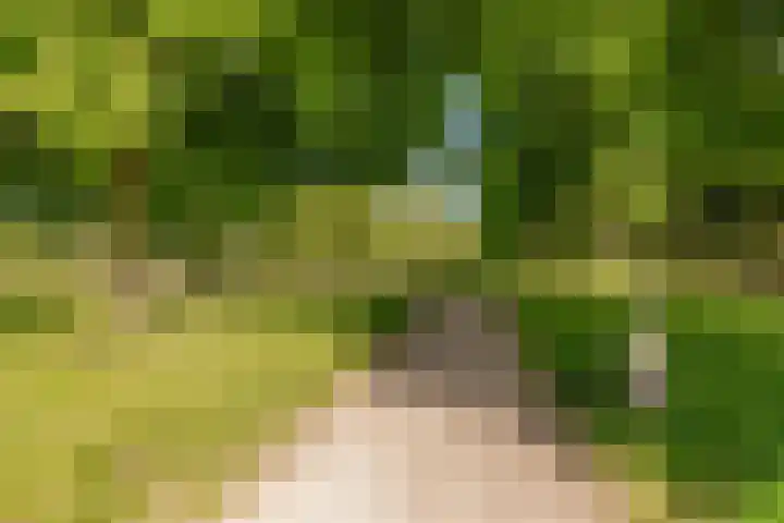 Centraalspoor 53 Houten thumbnail 66