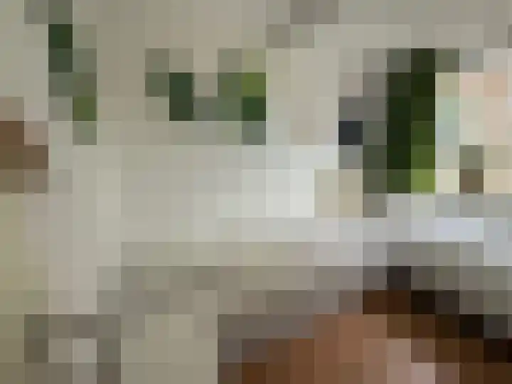 Centrum 6 Brouwershaven thumbnail 25
