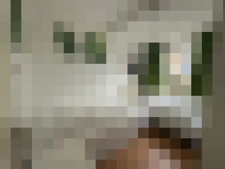 Centrum 6 Brouwershaven thumbnail 27