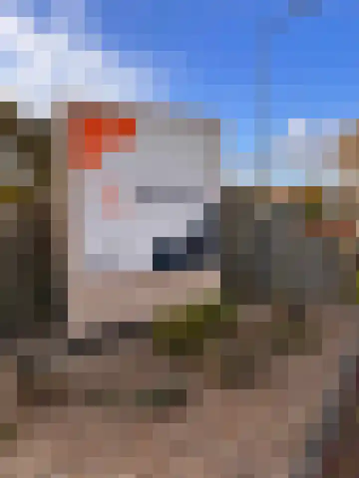 Centrum 6 Brouwershaven thumbnail 33