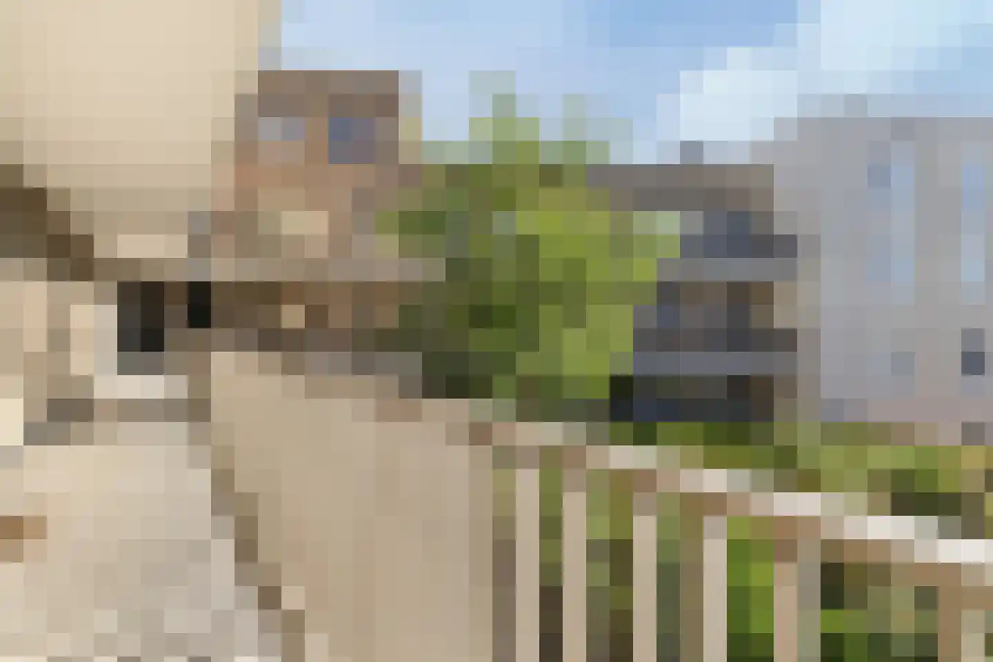 Centrumboulevard 327 Utrecht thumbnail 14