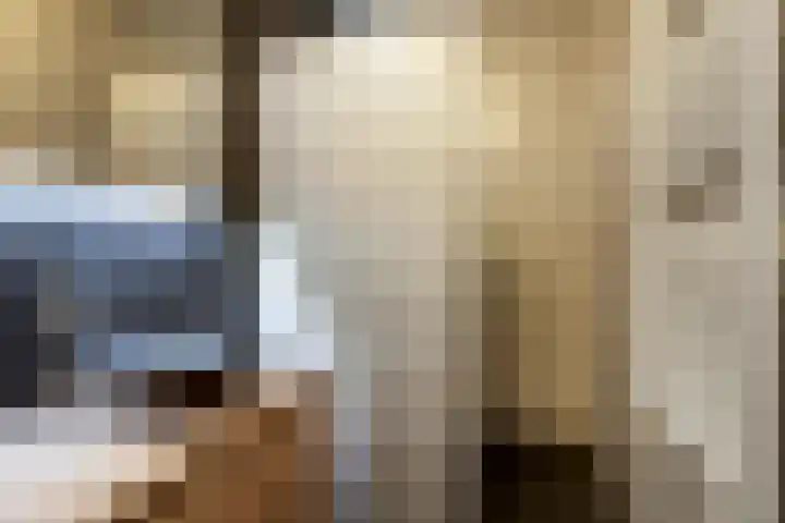 Centrumoever 45 Roelofarendsveen thumbnail 12