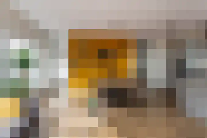 Centrumoever 45 Roelofarendsveen thumbnail 15