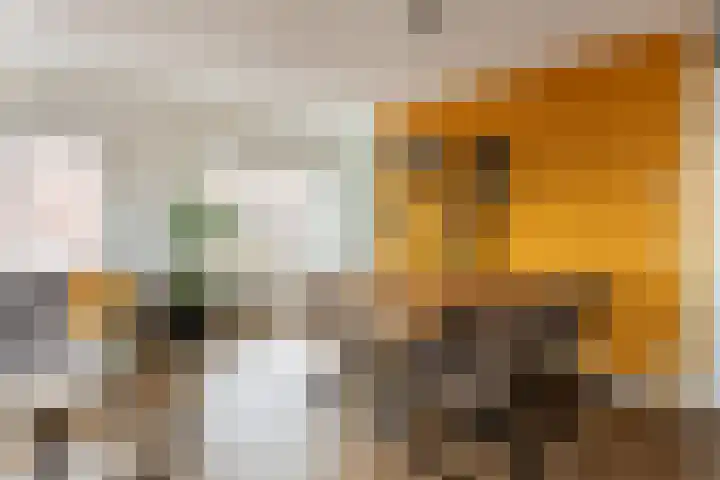 Centrumoever 45 Roelofarendsveen thumbnail 16