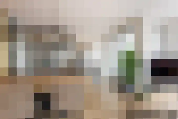 Centrumoever 45 Roelofarendsveen thumbnail 17