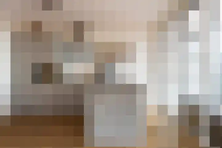 Centrumoever 45 Roelofarendsveen thumbnail 18