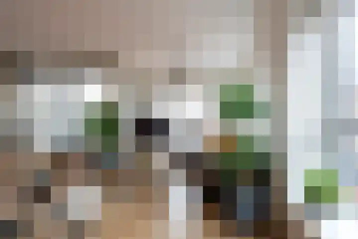 Centrumoever 45 Roelofarendsveen thumbnail 19
