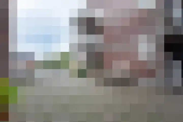 Centrumoever 45 Roelofarendsveen thumbnail 21