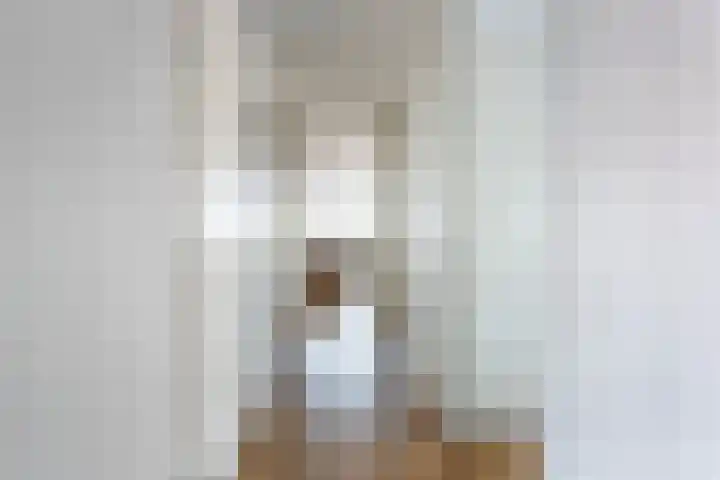 Centrumoever 45 Roelofarendsveen thumbnail 7