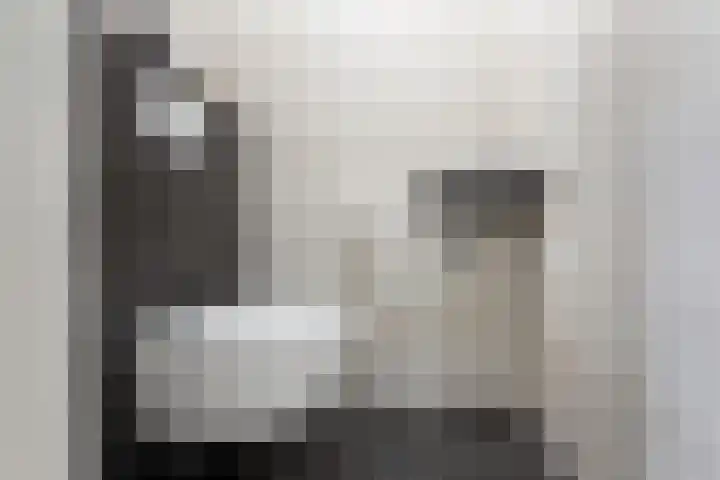 Centrumoever 45 Roelofarendsveen thumbnail 9