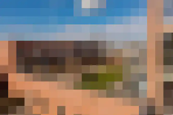 Centrumplein 88 't Harde thumbnail 37