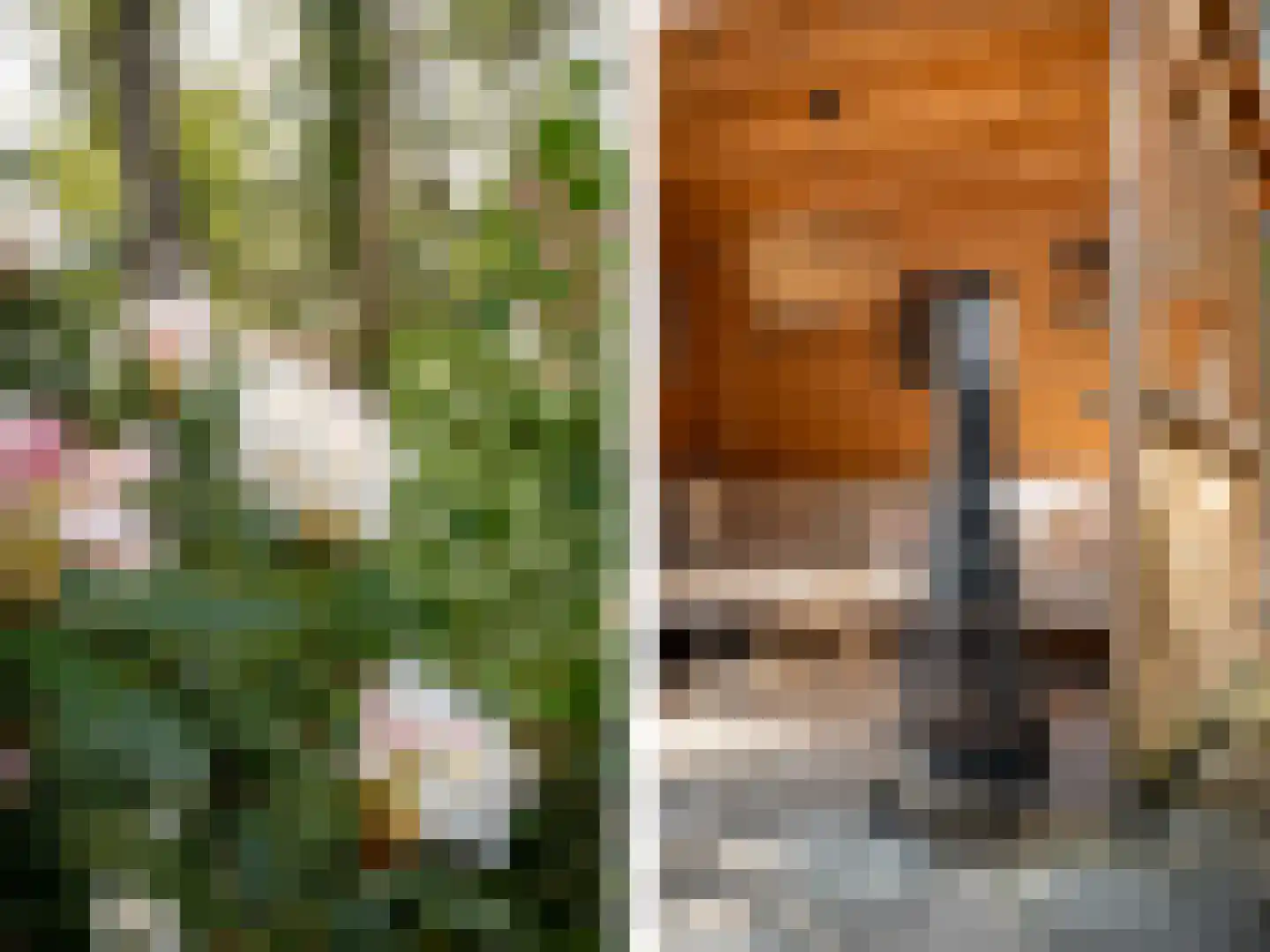 Centrumweg 5 04 Epe thumbnail 30