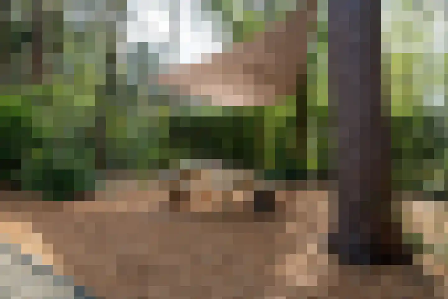 Centrumweg 5 04 Epe thumbnail 32