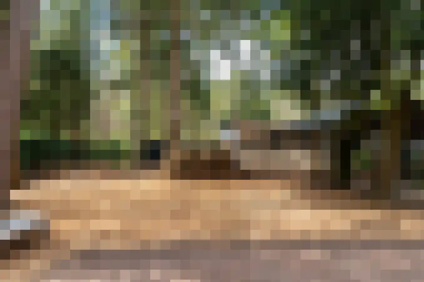 Centrumweg 5 04 Epe thumbnail 35