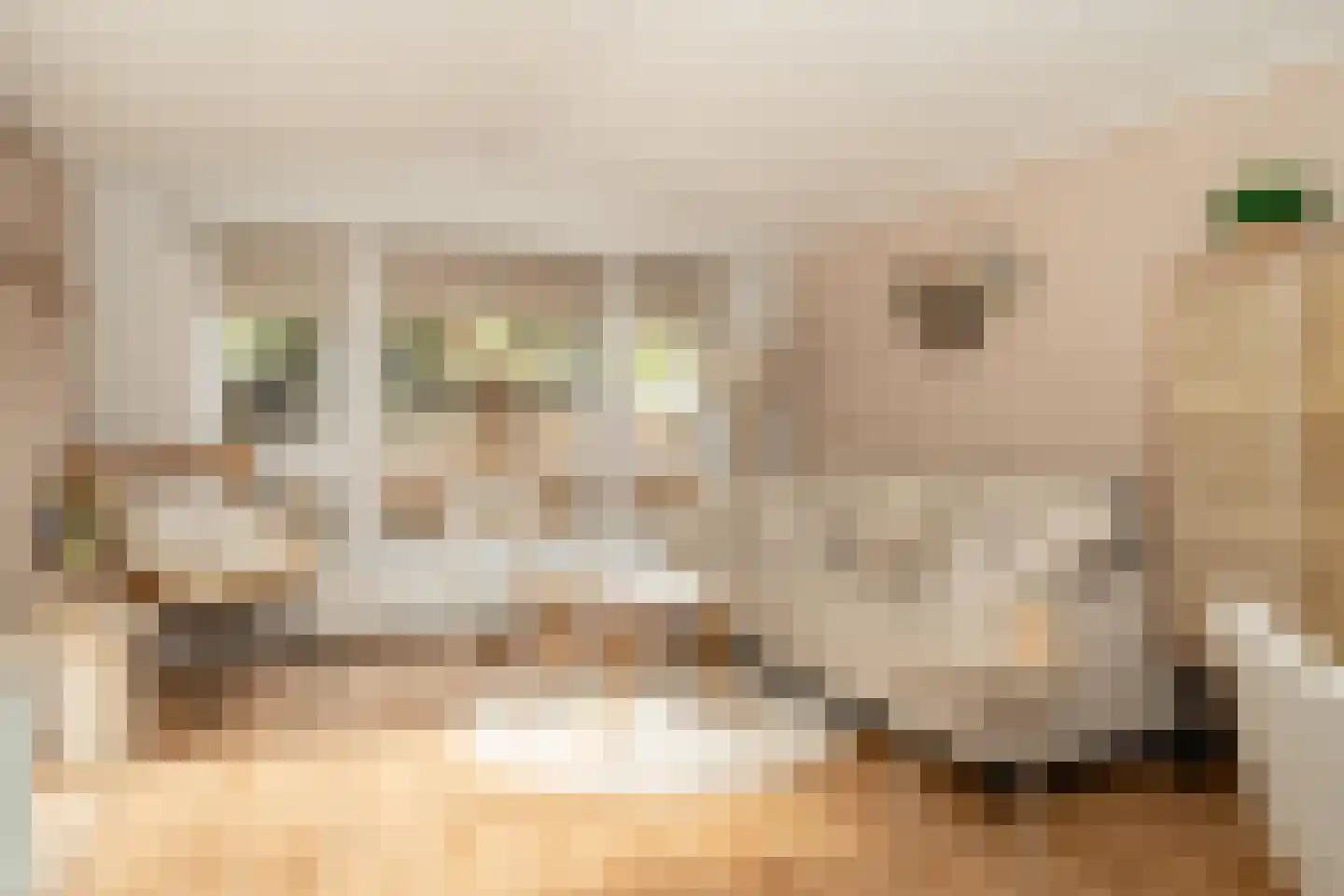 Centrumweg 5 04 Epe thumbnail 7