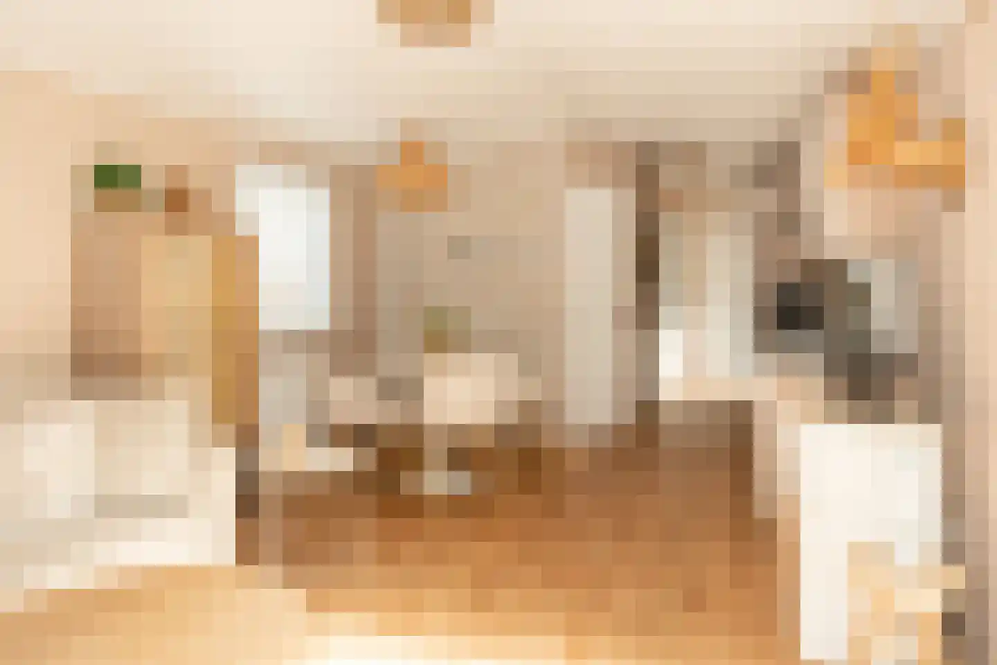 Centrumweg 5 04 Epe thumbnail 9