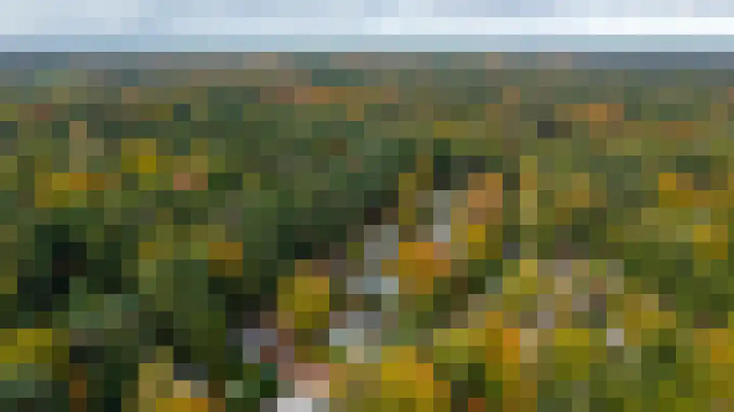 Centrumweg 5 16 Epe thumbnail 18